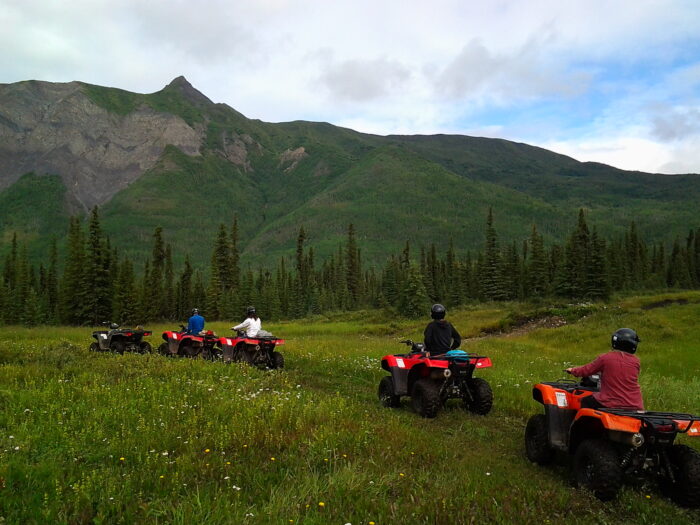 a group of people sitting in a field with a mountain in the background